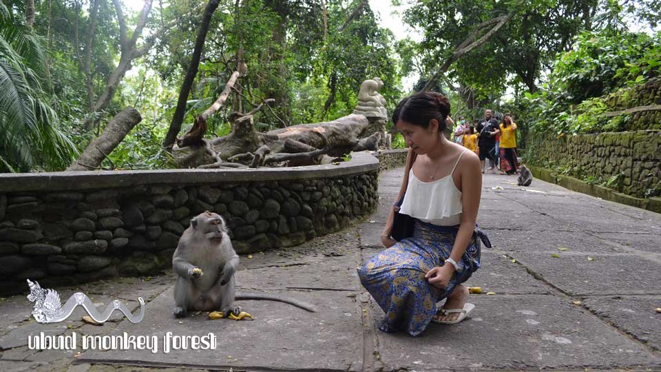 bali-kanaka-tour-bali-private-driver-bali-full-day-tour-ubud-monkey-forest-ubud-tour-1